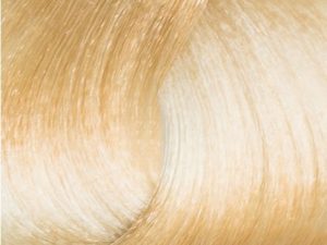 Lightest Blonde 10N 90ml Color Tube
