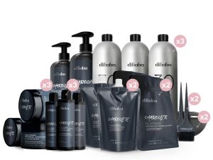 2024 LARGE CHARCOLITE SYSTEM INTRO